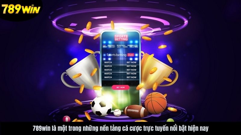 Khám Phá Thế Giới Giải Trí Và Cơ Hội Với 789win.it.com